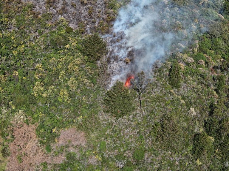 Hoy se atendieron 3 Incendios Forestales